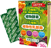 乳酸菌ゼリーⅡ